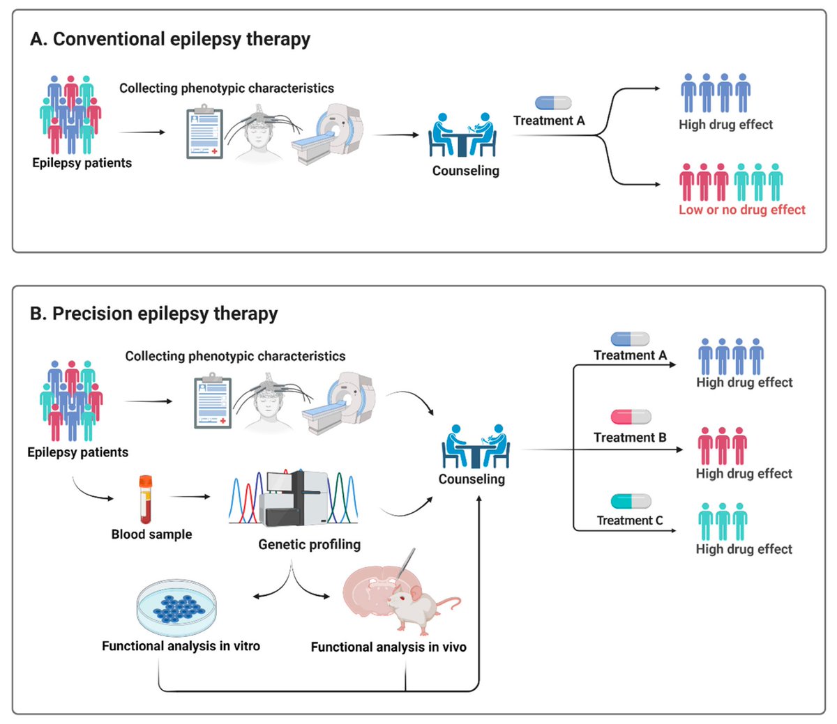 Really proud of these figures created using <a href="/biorender/">BioRender</a>. Who knew I had the skills but the software is so easy to work with. And the online editorials make everything easier. Hopefully these figures can inspire others
#epilepsy #genetics 
<a href="/AcademicChatter/">Academic Chatter™</a>

mdpi.com/2073-4425/12/7…