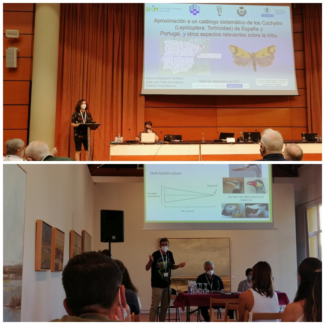 iberozoa's tweet photo. ¡Finalizamos el XXIV Bienal de la Real Sociedad de Historia Natural de Valencia! Esta vez dejamos 2 charlas: una sobre aves urbanas y otra sobre equinodermos cámbricos. Felicitar a nuestros colegas de la UAM Manuel y Víctor por sus intervenciones 🗣️
Nos vemos en el @ConserBio 😉 https://t.co/uqTGwN7SzH