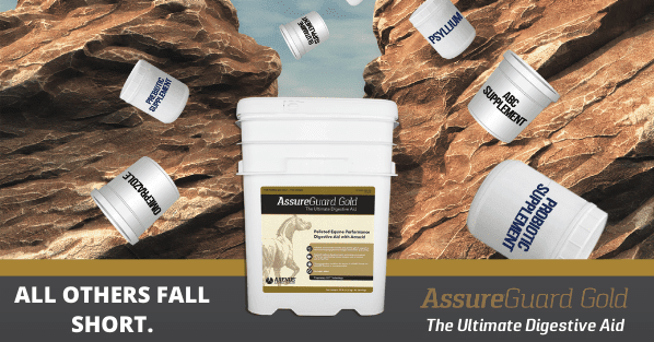 madalynward's tweet photo. Chronic digestive issues? Leaky gut? Poor body condition? Looking to improve your horse’s overall wellness or performance? Look no further than Assure Guard Gold - the Ultimate Equine Digestive Aid.
https://t.co/cbgD6Yds0N https://t.co/41yp97RboO