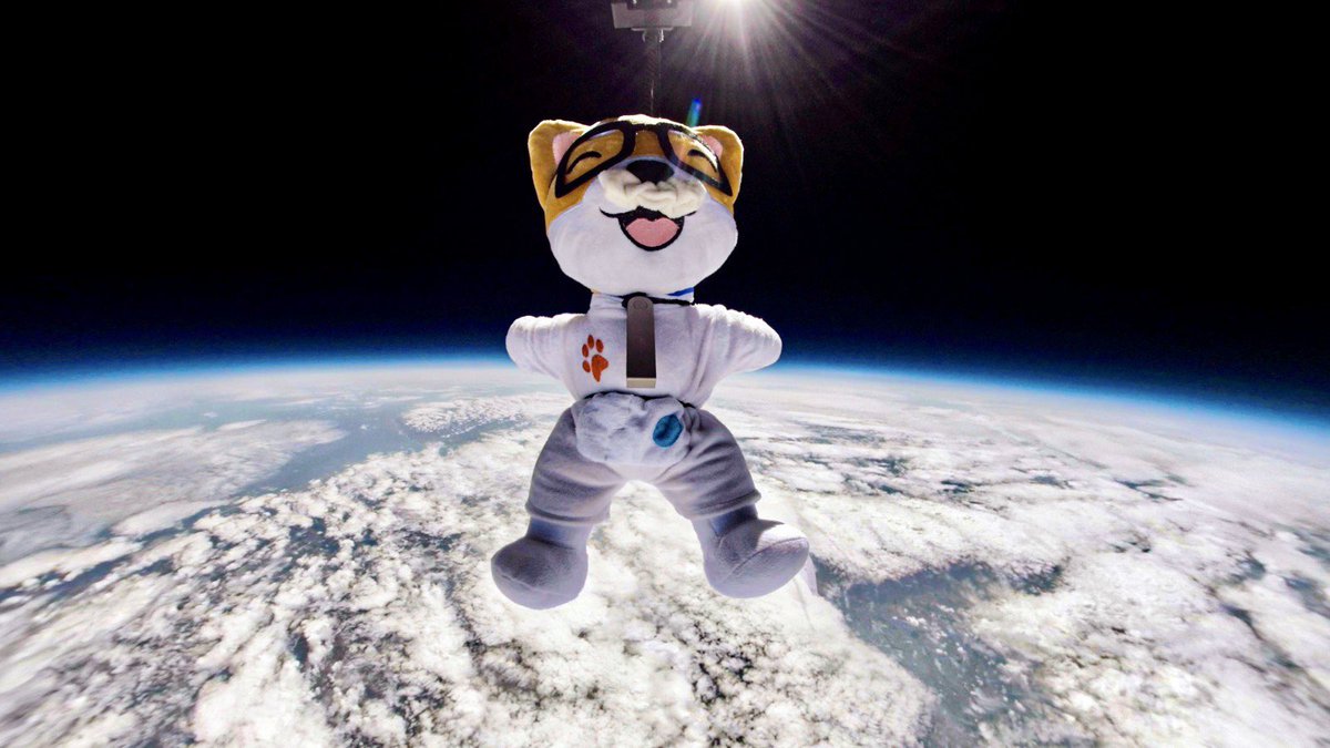 DaddyDOGEtoken's tweet photo. Is this the new Space Race?

Daddy Doge to Mars! https://t.co/vLT33UCsiG