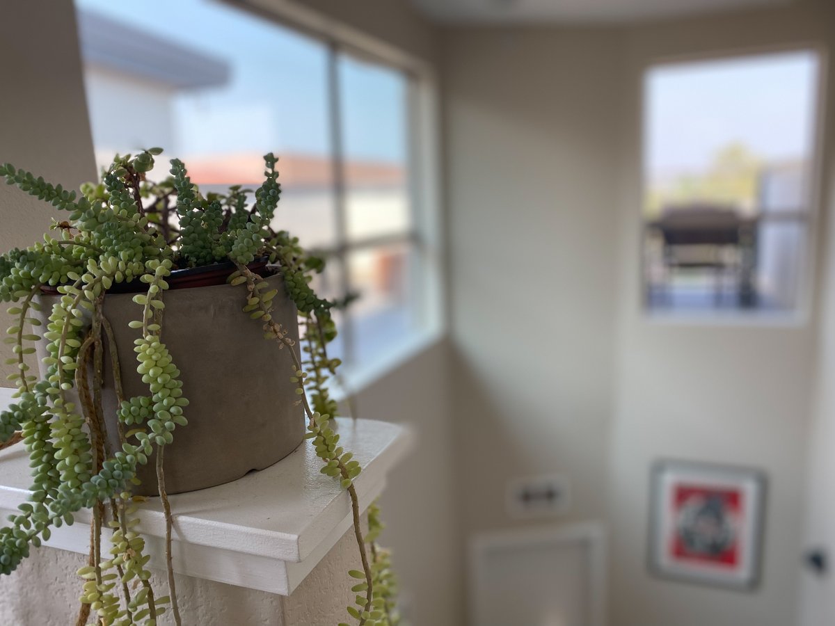 atrium_realty's tweet photo. Come check out my new listing in the legendary Five Points. 2bd, office, 2.5ba, rooftop deck, mountain and city scape views, and great amenities!

Price:  $640,000
.
.
.
#newlisting #denverhomes #coloradohomes #listwithatrium #realestate #realtor https://t.co/6gCvDH5DcS