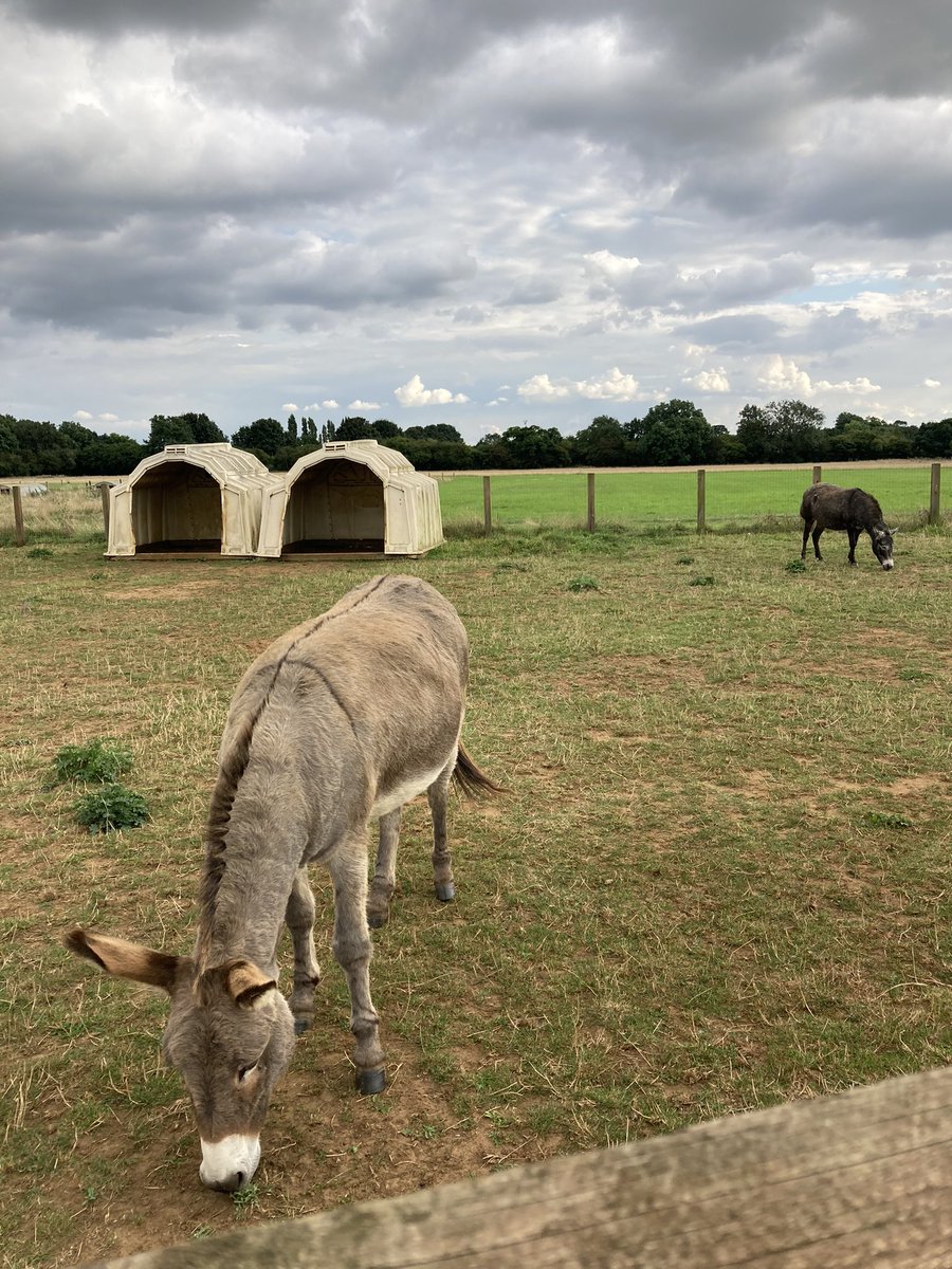 A wonderful time was had by all this evening at <a href="/pinkpigfarm/">Pink Pig Farm 🐷🐽</a>. What a lovely place with a beautiful atmosphere. Thank you! #AutismFriendly #FridayNightFun