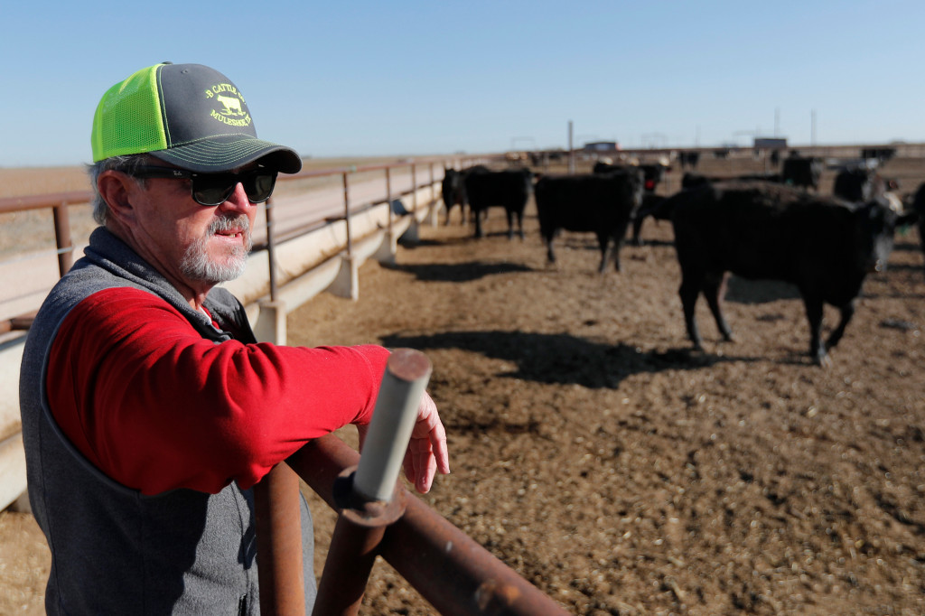 nypost's tweet photo. Farmers restore native grasslands as groundwater disappears https://t.co/jULItFoFZc https://t.co/J6ehZGkrWB