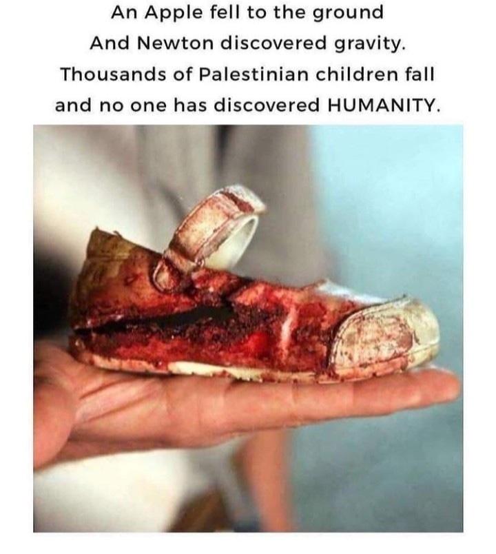 WayToNajah's tweet photo. Don't kill innocent people.
#Palestine #Palestinian #Palestinians #Israeli #IsraeliTerrorism #IsraelTerrorists #IsraeliCrime #IsraeliCrimes #gaza
#SavePalestine #humanity #killing https://t.co/BjYP1g2b3m