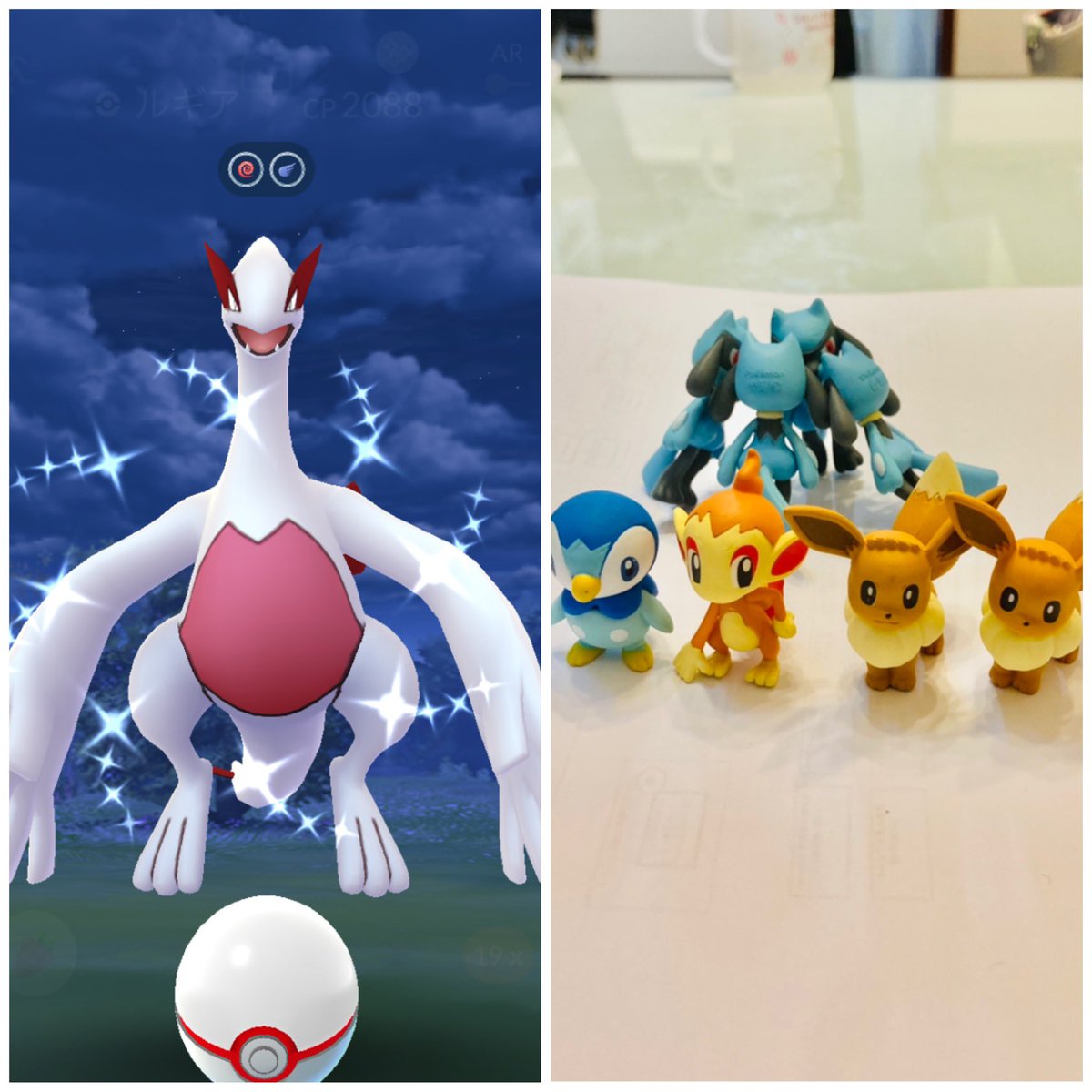 ポケモンgo ナエトルの色違い 入手方法と実装状況 攻略大百科 ポケモンgo ナエトルの色違い 入手方法と実装状況 攻略大百科