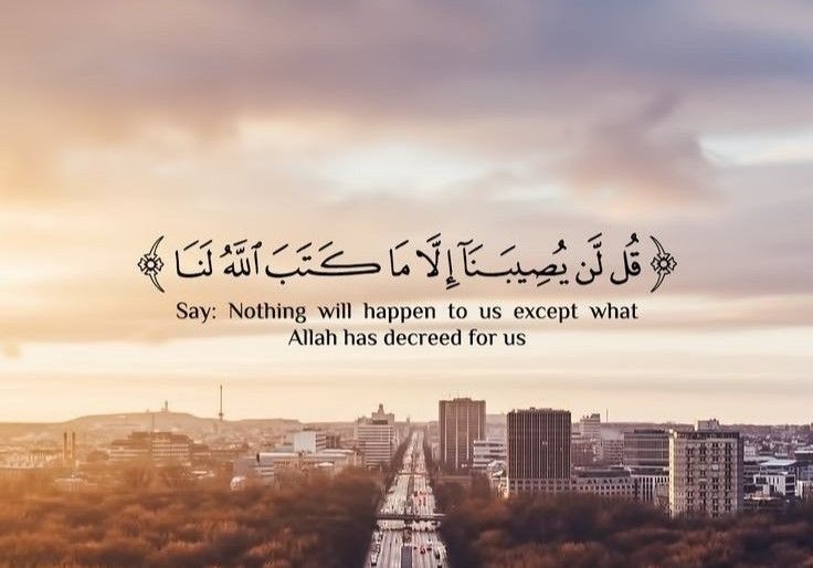 salwaha tweet media