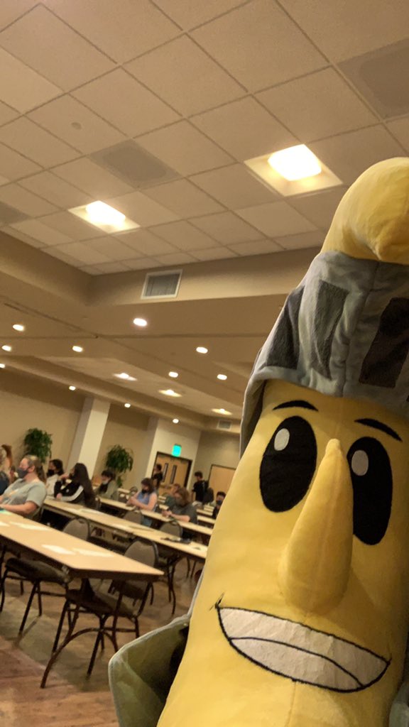 Bingo Knight time 🥶🥶 -Apollo 🌙