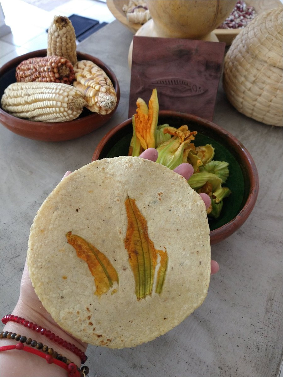 MuxKulli's tweet photo. Nuestras tortillas de temporada con flor de calabaza !! #Ensenada #BajaCalifornia #maízcriollo #maíznativo #sinmaíznohaypais https://t.co/rqhmrEx7Of