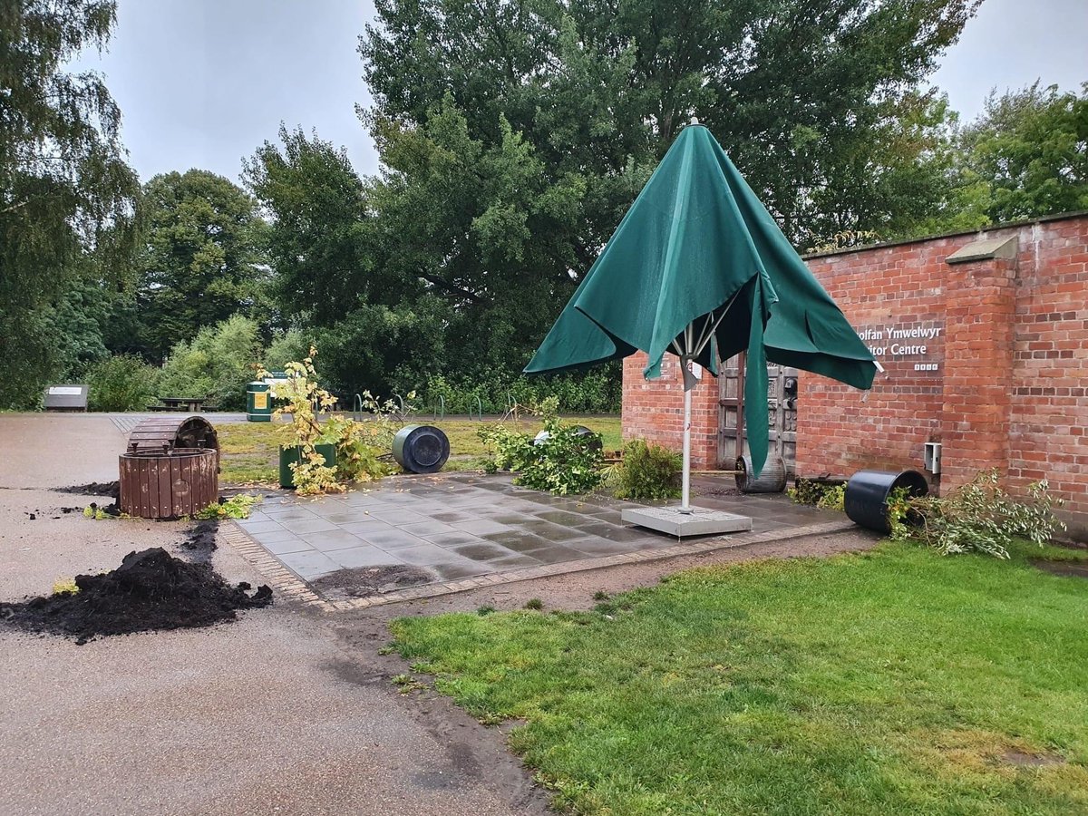 I Loves The ‘Diff tweet media