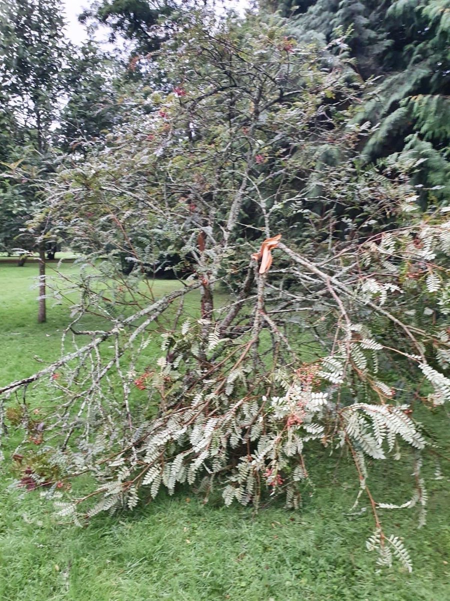 I Loves The ‘Diff tweet media