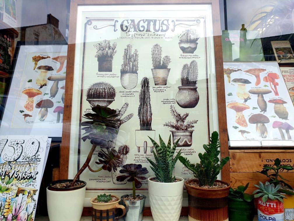 How gorgeous does our window look? A collaboration from myself and <a href="/highstbooks/">HighSt Books&Records</a> for <a href="/NMFestivalArts/">NMFestivalArts</a> #ArtinWindows #ArtTrail So much to see in #NewMills from now until 26th Sept as the whole town is turned into an art gallery. #visitNewMills Thanks for the lovely pics <a href="/northeann/">Northe-Ann Morris</a>