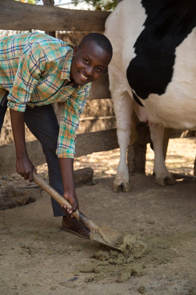 From animal dung to crop residue, livestock-based livelihoods can be messy.

Learn how we support our farmers in reusing waste to boost crop yields, generate income and protect the environment.
→ ms.spr.ly/6011XMNjS