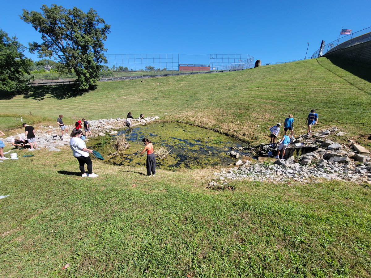 Sarah Moonier tweet media