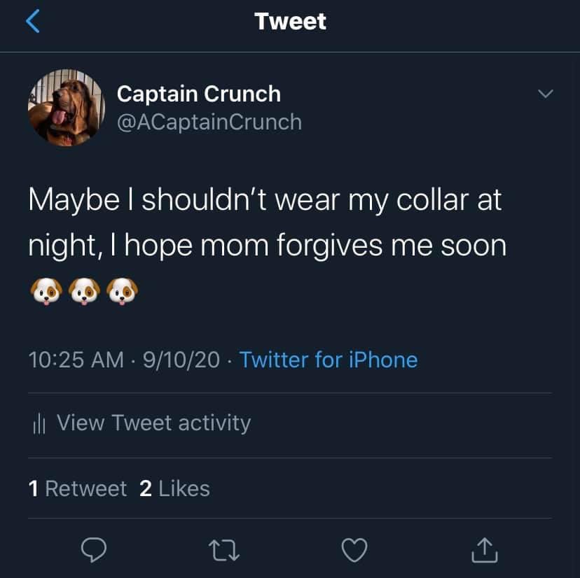 Captain Crunch tweet media