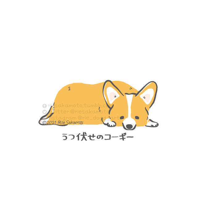 「柴犬 シンプルな背景」のTwitter画像/イラスト(新着)｜21ページ目