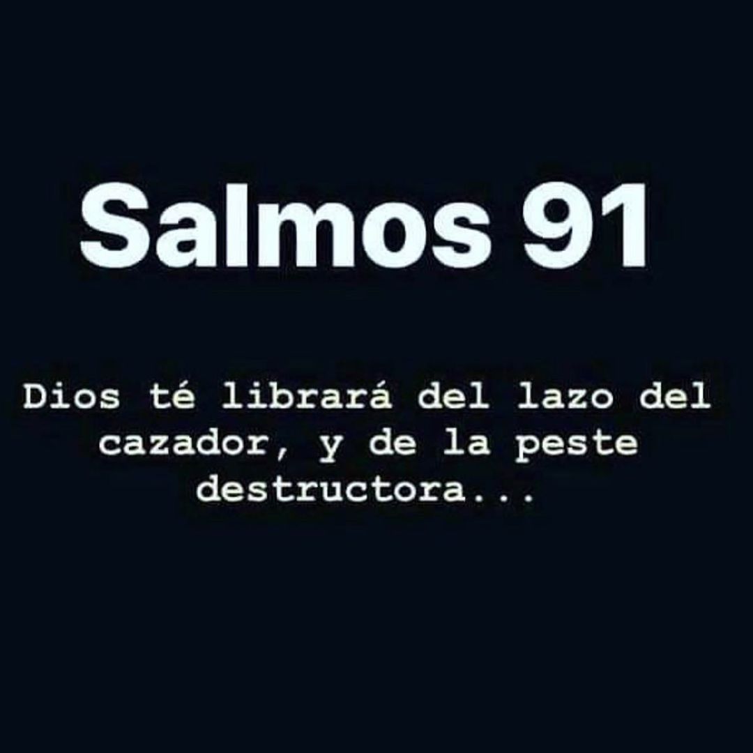 mensajesdevidac's tweet photo. Dios nos libra si confiamos y estamos en paz con Él 🙏🏼
#mensajesdevida #frases https://t.co/QK8b11gcDr