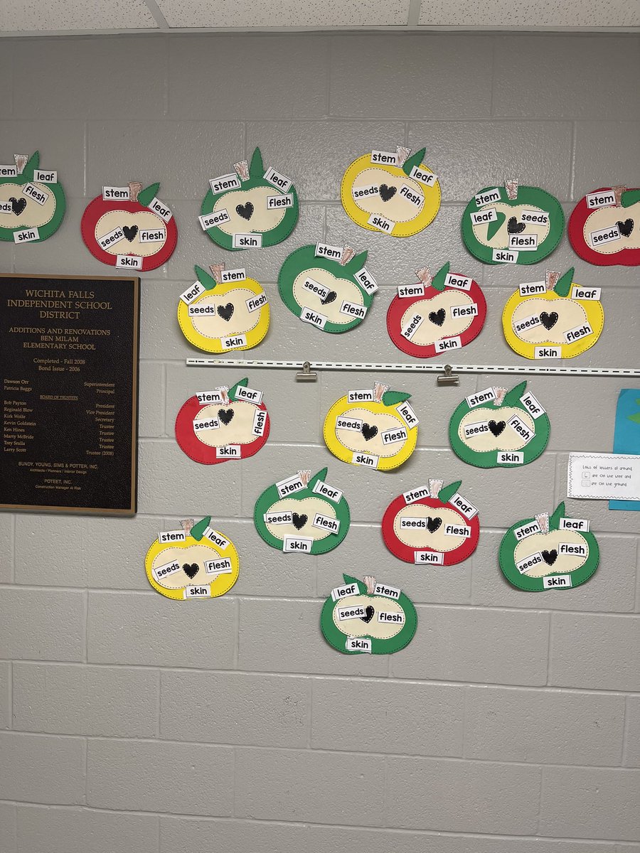We learned about apples this week. We talked about the life cycle, cut apples to see the seeds, and finished up with labeling the parts of an apple! <a href="/MilamBengals/">Ben Milam Elementary</a> #allin