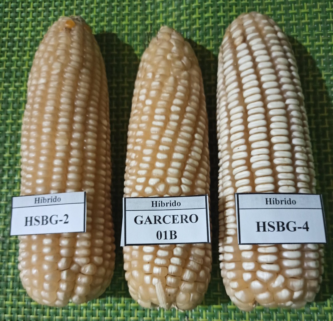 alperezc's tweet photo. Vamos a producir dos de estos. https://t.co/GNdUUJJ4mQ
