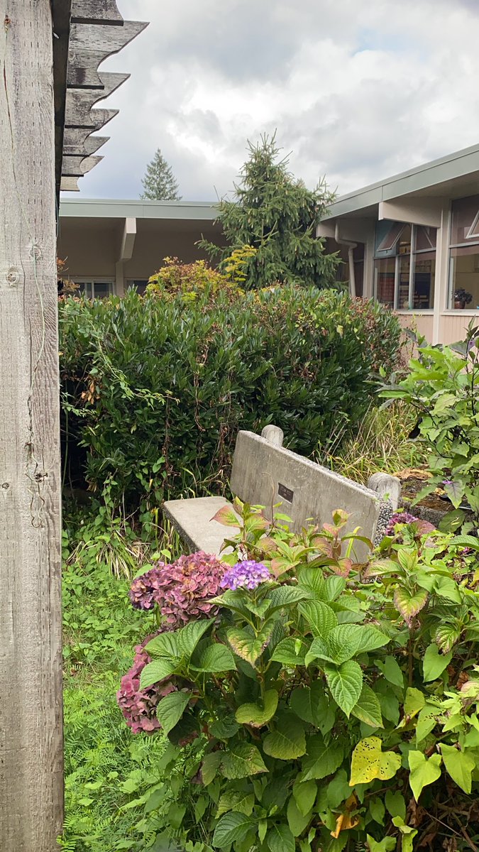 At a new school this year <a href="/HillcrestSD43/">HillcrestSD43</a>! Time to start a new outdoor classroom project. Got a great space to potentially work as well! #BacktoSchool2021 #outdooreducation