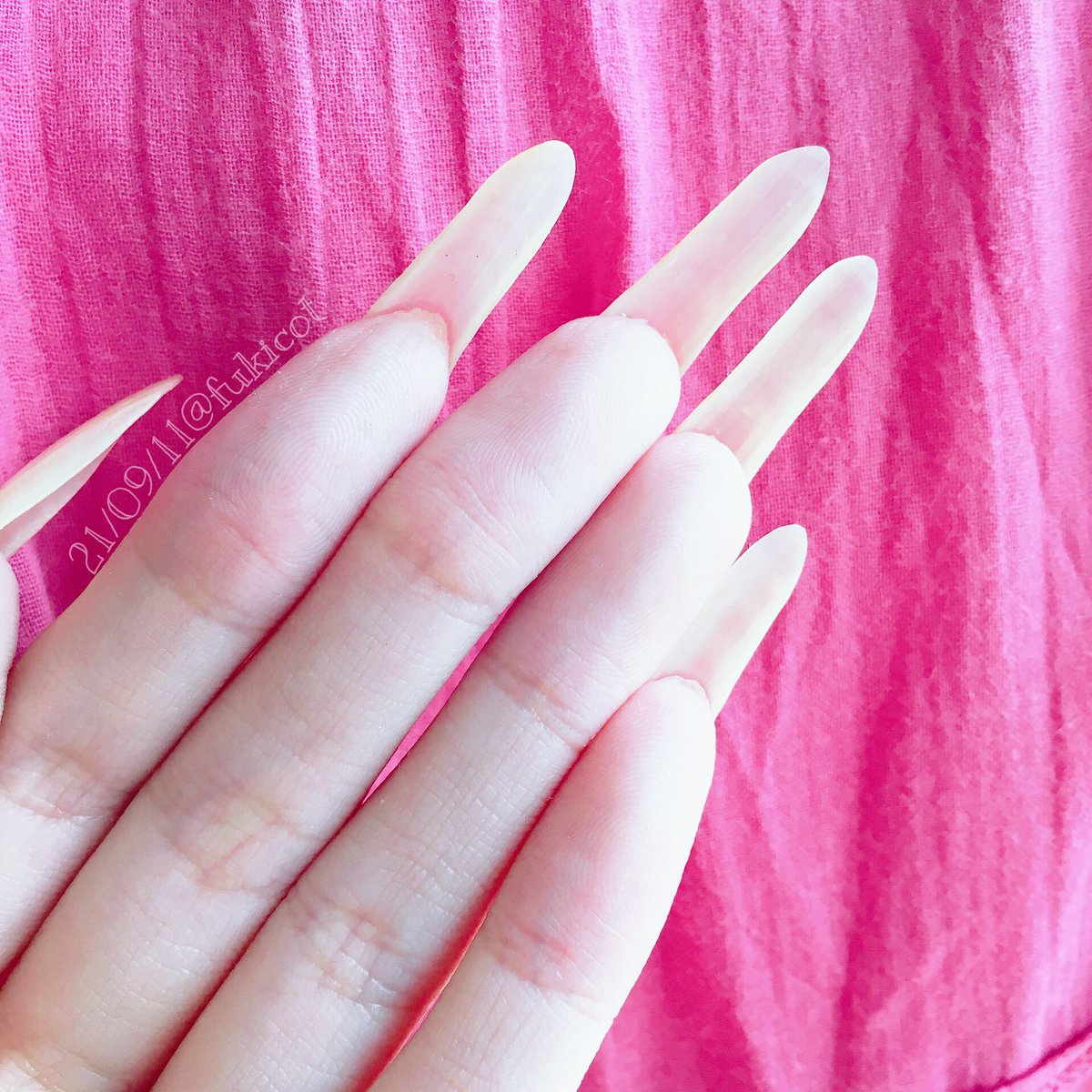 fukicot's tweet photo. #naturalnails #naturallongnails  #nails #handmodel #nailbed  #nailstagram #instanails #mynails #hand #nailmodels #bignail #longnails #clearnails #nailsoftheday  #自爪 #自爪ネイル #素爪 #セルフネイル #ネイル #ネイルベッド  #ロングネイル #自爪育成 #美爪 #nailsofinstagram #hand https://t.co/IAqMf2TGb8