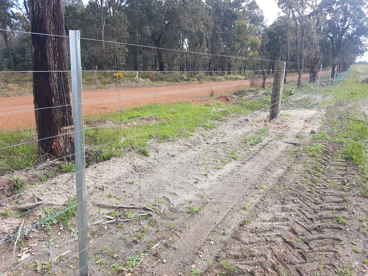 David Slade tweet media