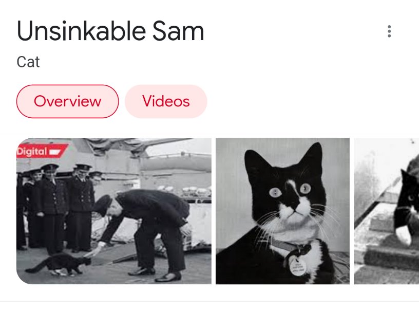 JoEatsFood's tweet image. Today I learned about Unsinkable Sam, a very good cat boi who survived the sinking of three ships and judging by his face, oh BOY DID HE