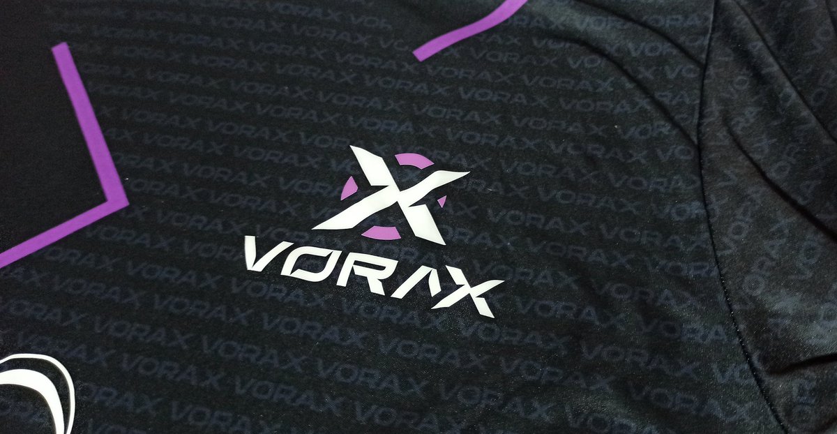 LBRGuilherme's tweet photo. MUITO OBRIGADO @KRAINFPS, @V1XENBEAST, @DELEVRAU, @DRAGONITEGG, E PRINCIPALMENTE VOCÊ, @FZKK9

foi muito bom torcer por vocês na @VoraxGG, mesmo q por pouco tempo 

e agora que todos tomaram rumos diferentes, ainda é muito legal torcer e acompanhar a evolução de cada um de vocês https://t.co/thV3O5mZMj