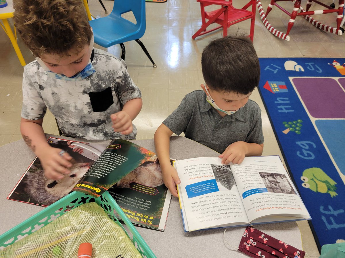 Miss McCabe tweet media