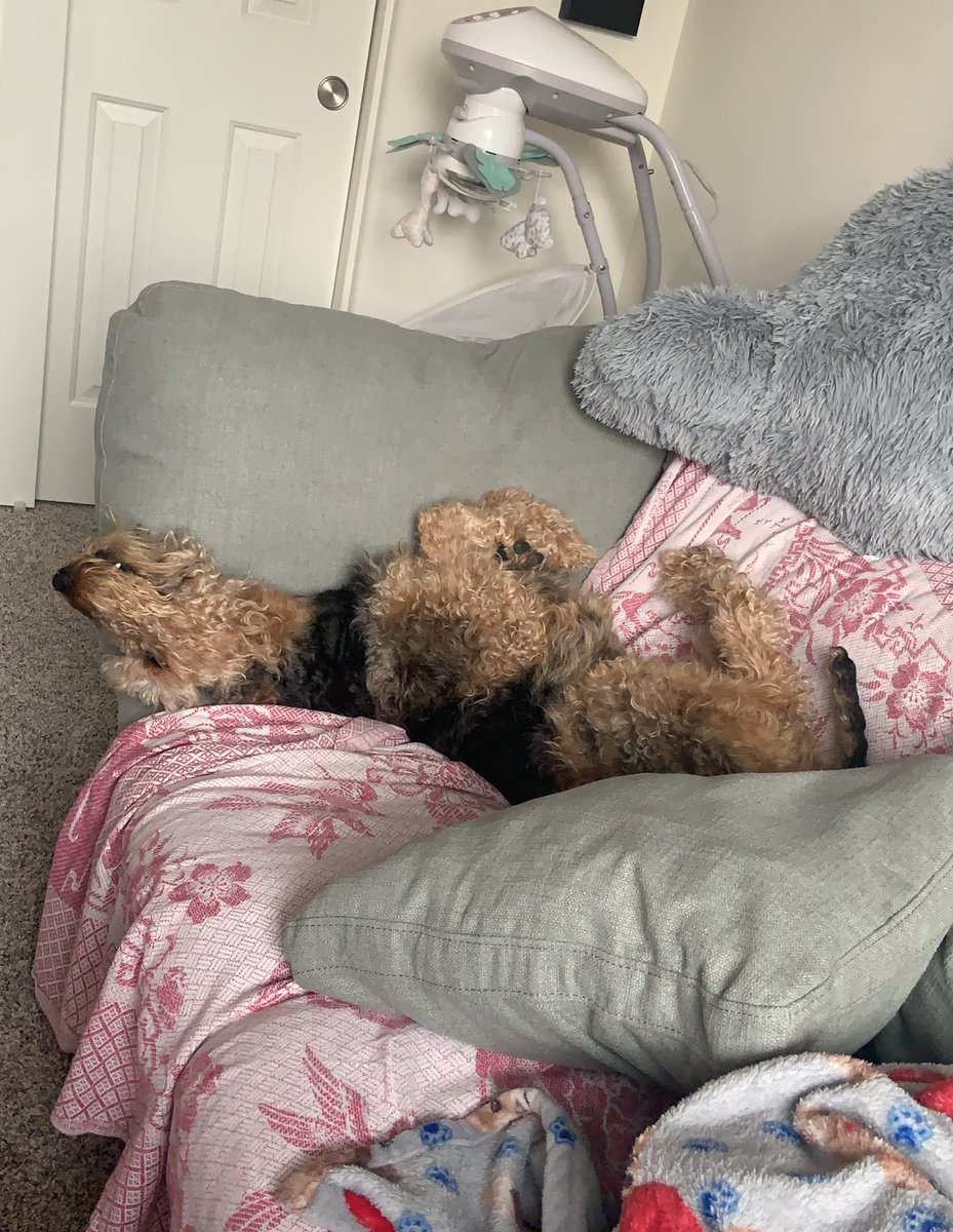 Cali Robles tweet media