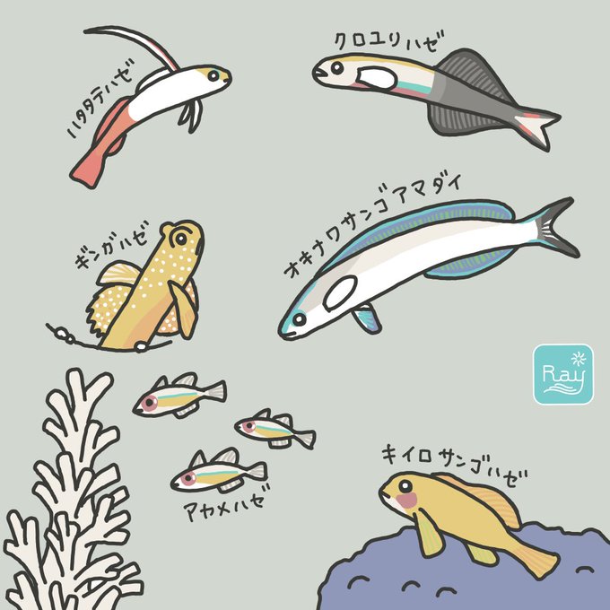 ハゼのtwitterイラスト検索結果 ハゼのtwitterイラスト検索結果