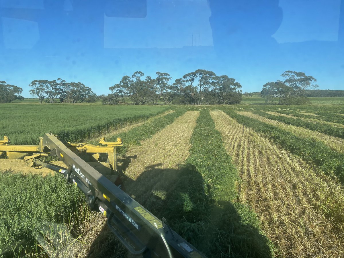 Bowman Transport has new season wheatbelt oaten hay available, $400/T delivered Broome. Payment terms July next year. We also have plenty of Rhodes hay still available.