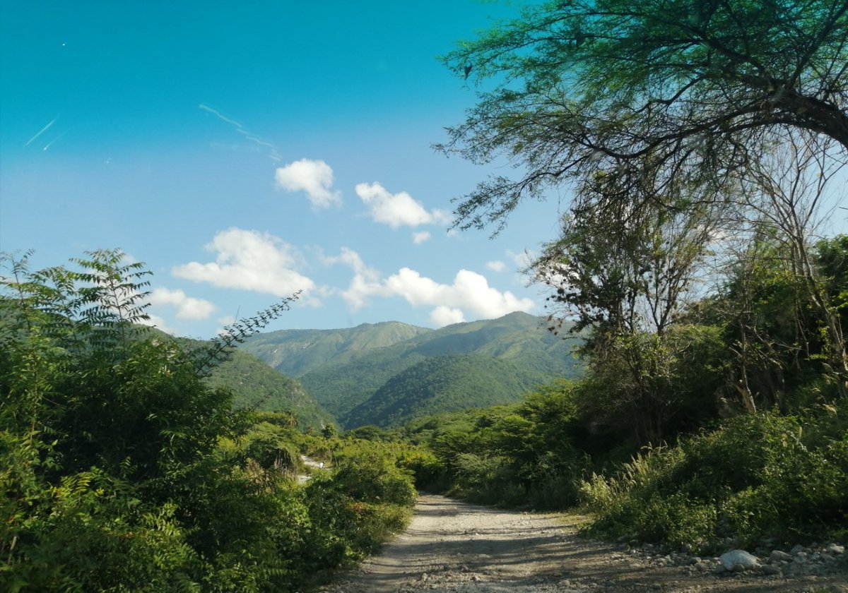 MarinaHernandez tweet media