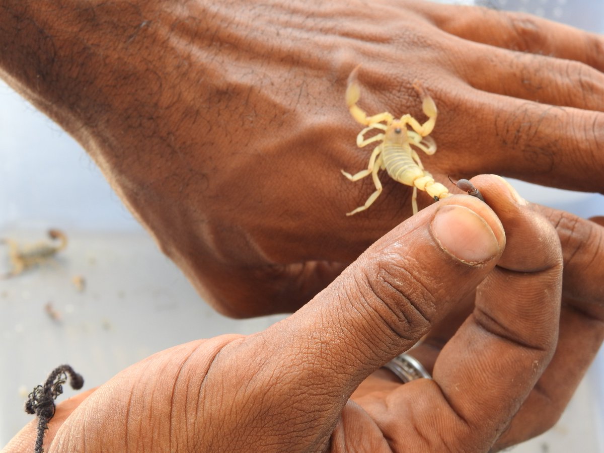 MarinaHernandez tweet media