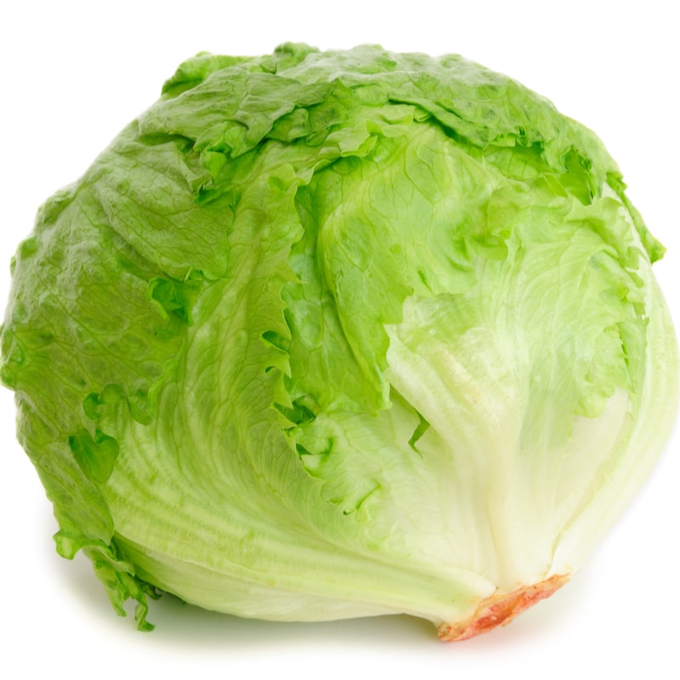 Lechuga