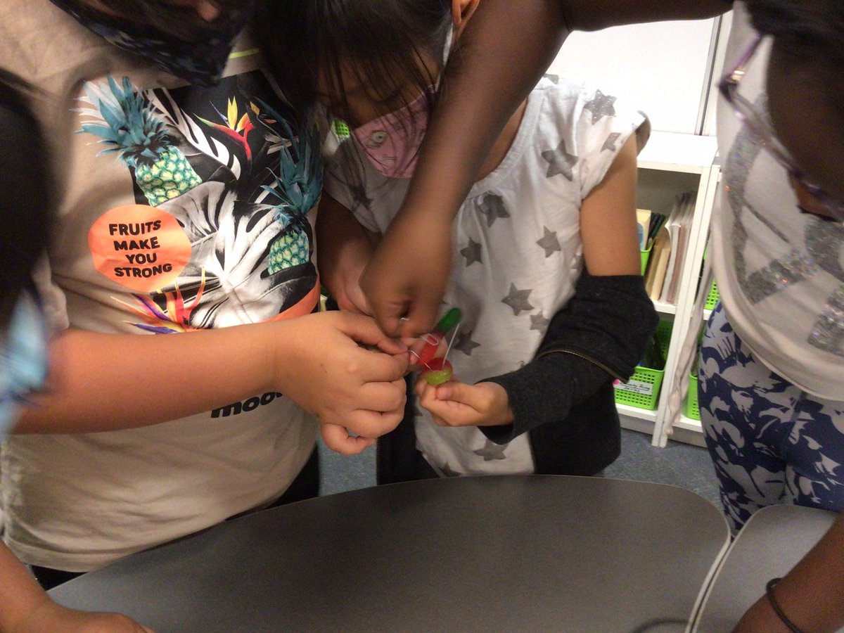 mrszavich's tweet photo. We worked hard as a team to save Fred! Sometimes we win, sometimes we learn. #teamwork #YouNeedAPlan @OneWattles @DrJBrasington https://t.co/l9mC3O0TyN