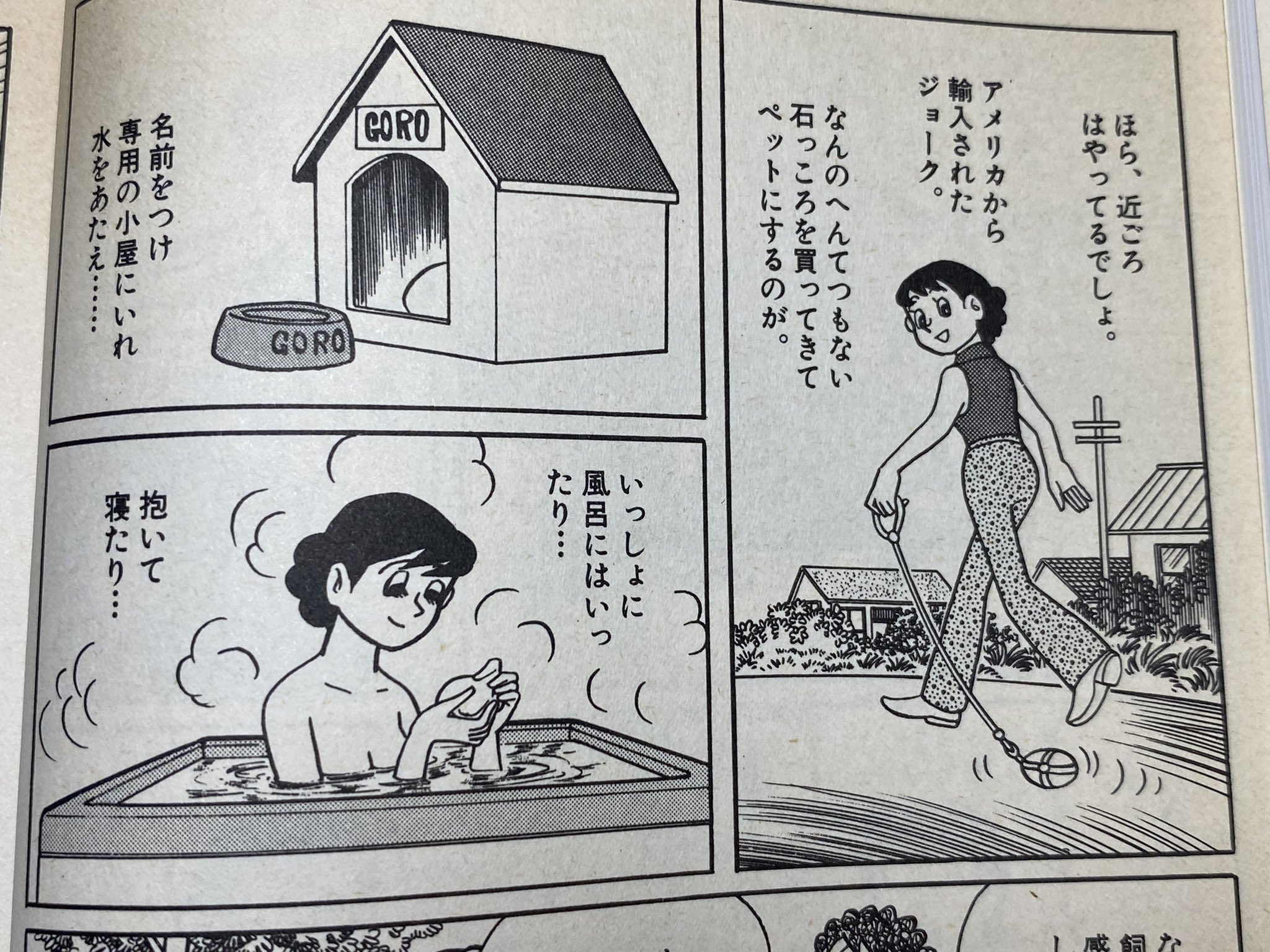 ピカイア@【半紙半生】 on X:
