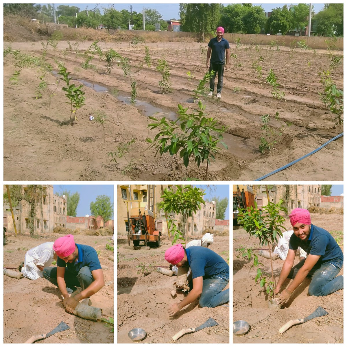 Steno_Sardar_Ji's tweet image. I planted trees because this is what we all need #OnenessVann #Hanumangarh  on 29 August 2021
#OnenessVann
#SantNirankariMission 
#SNCF 
@santnirankari @OnenessVann @sncfoundation