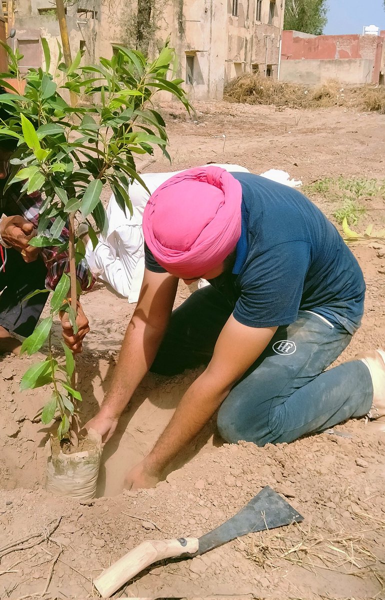 Steno_Sardar_Ji's tweet image. I planted trees because this is what we all need #OnenessVann #Hanumangarh  on 29 August 2021
#OnenessVann
#SantNirankariMission 
#SNCF 
@santnirankari @OnenessVann @sncfoundation