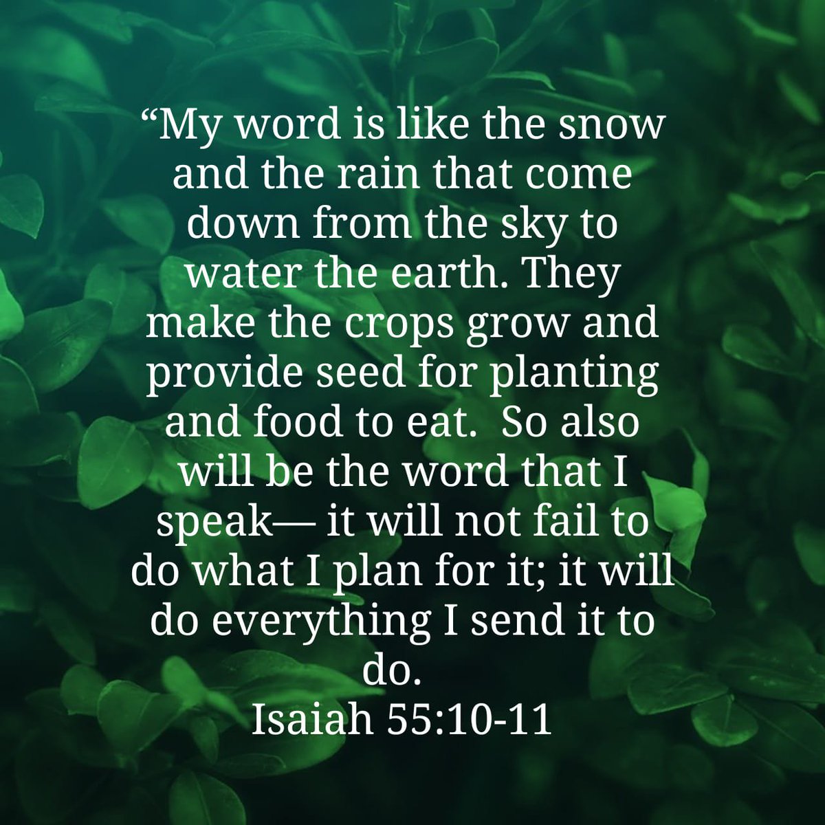 “My word is like the snow and the rain that come down from the sky to water the earth. They mak…
https://t.co/TyMWDmwEfv #BibleVerses #JesusIsKing #JesusSaves #JesusIsComing https://t.co/omhALVJtqn