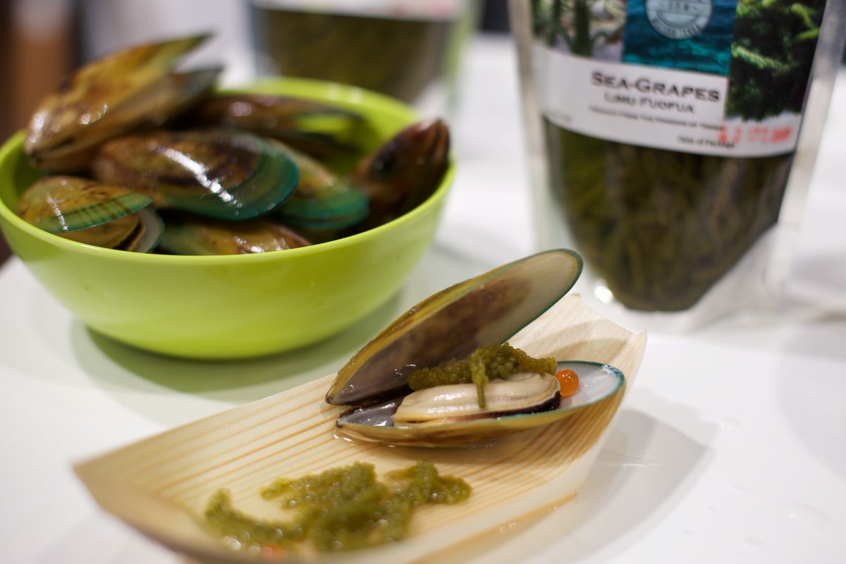 pti_nz's tweet photo. The European market presents an opportunity in the #Blue Pacific production & export of #seaweed. Read more in our #PacificFocus article from #PTIEurope. https://t.co/9R23eH3Q6e
#pacifictradeinvest #sustainablefood #plantbasedfoods #naturalhealth https://t.co/cWq8w5c41d