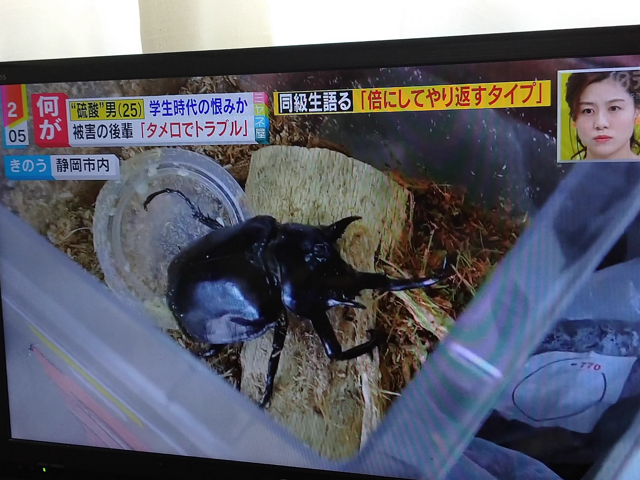 それは関係なくない？逮捕された加害者がなぜか昆虫好きと晒される！