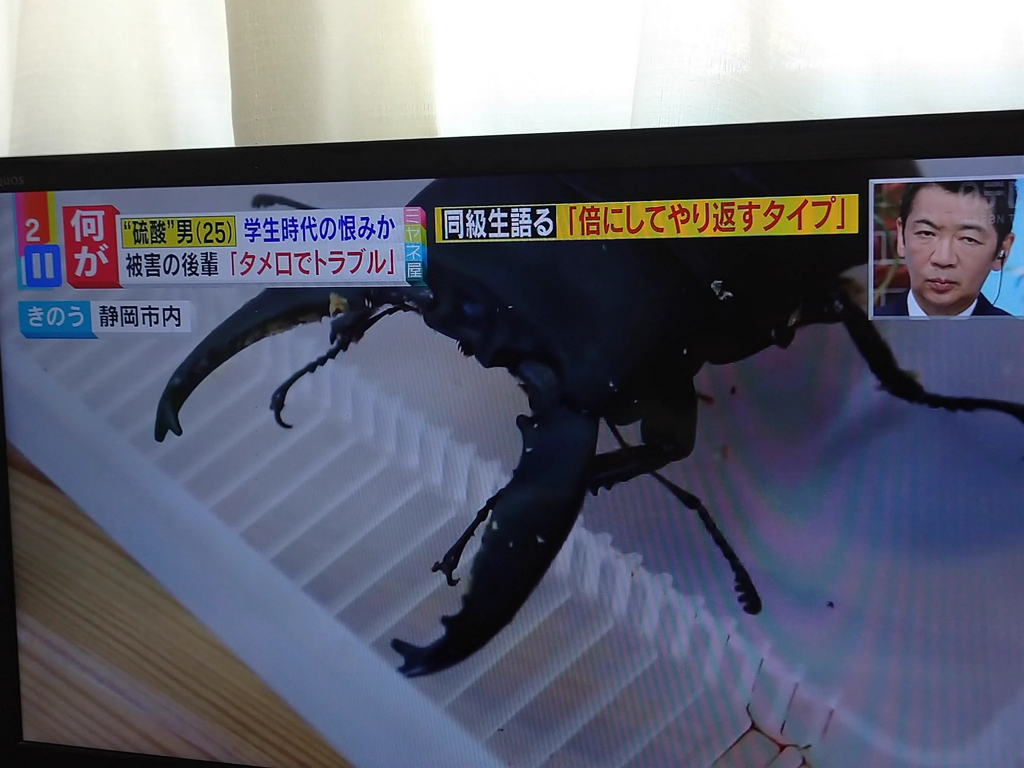 それは関係なくない？逮捕された加害者がなぜか昆虫好きと晒される！