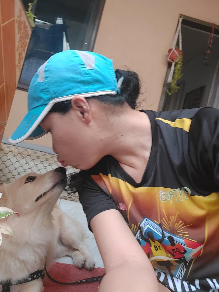 jonna88_'s tweet photo. My boyo...#lokithedog #dogsoftwitter https://t.co/VPXeQNzolo