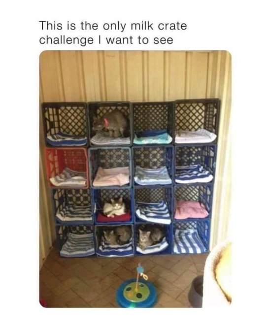 Accurate! https://t.co/woY2za5aAp<a href="/tag/rocks"class="tags"><span>#rocks</span></a><a href="/tag/itsthelittlethings"class="tags"><span>#itsthelittlethings</span></a><a href="/tag/rockhound"class="tags"><span>#rockhound</span></a><a href="/tag/iliker"class="tags"><span>#iliker</span></a>