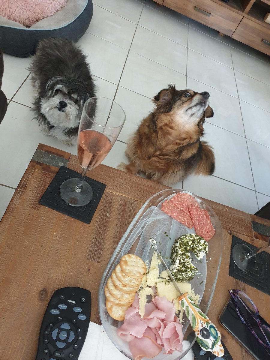 CarolLuvvie's tweet photo. We demand more cheese please mumma and some ham would be nice too. We are still in our 5km travel lockdown and everything is still closed except the essentials.🙄😷🐶🐶 🥂 #birthday #dogsoftwitter #lockdown6 #lockdownmelbourne #hardlockdown #GetVaccinated #AZ https://t.co/XvimjSRSs6