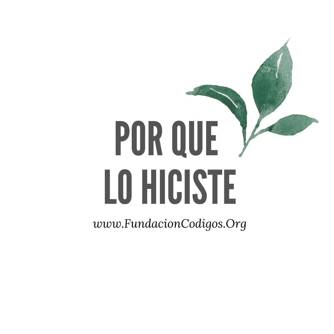 SlunaOK's tweet photo. Esta semana estaré presentando a la #PlantBasedChef @MoniqueVinay en #EcoVida para hablar sobre cómo a través de la alimentación podemos fortalecer nuestro #sistemainmune. No te lo pierdas!! #alimentacionconsciente #glaminess https://t.co/RbEhNY9SWg