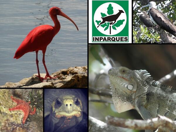 Preservar la naturaleza de Morrocoy, es importante promover el eco turismo