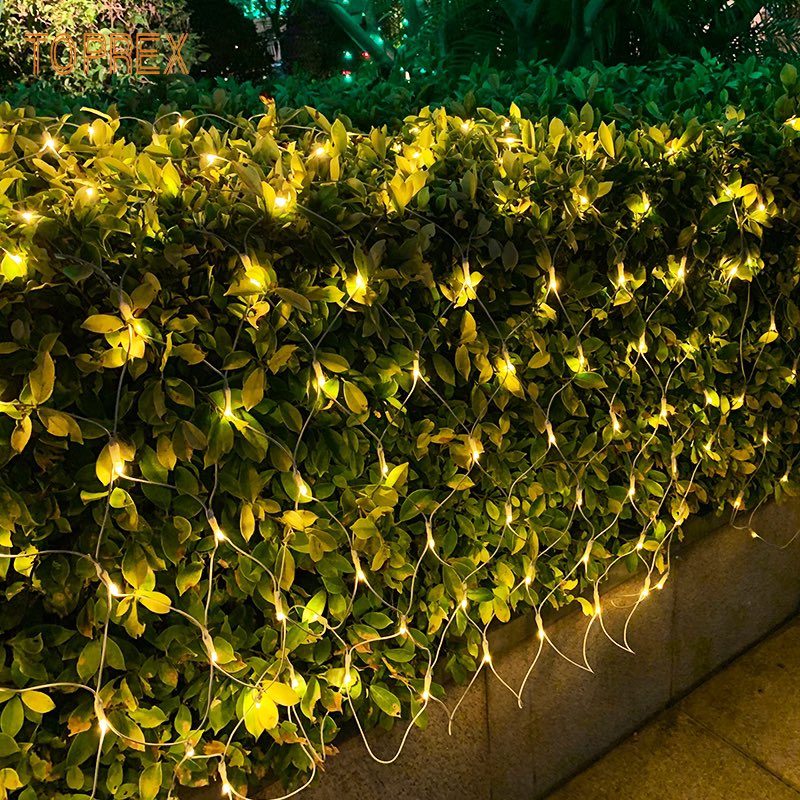 ShirleyToprex's tweet image. Like stars falling to the ground🌟🌟🌟
#stringlights  #netlight  #parterre  #park  #LED