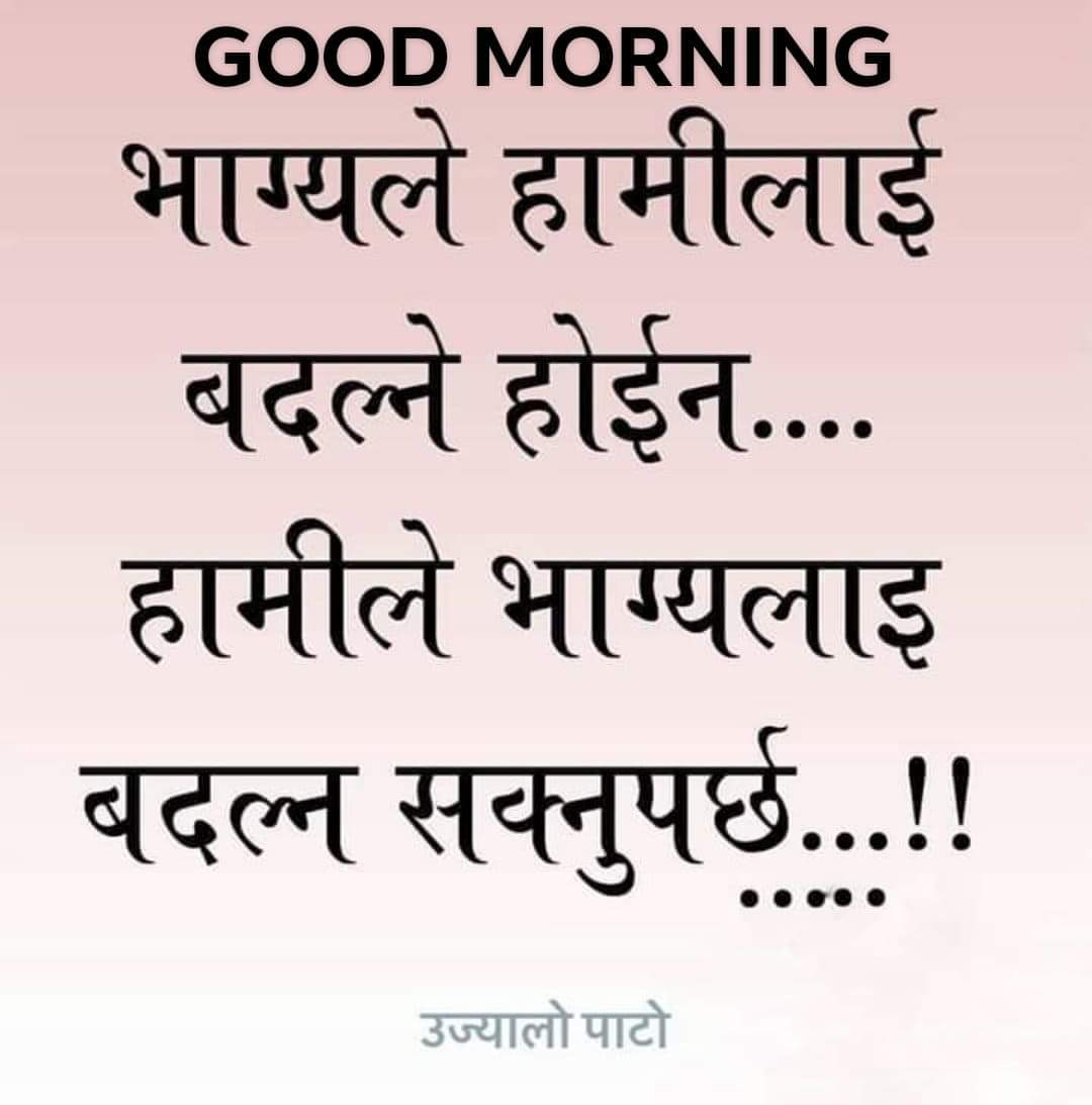Point wish online digital network business garer simple business no risk