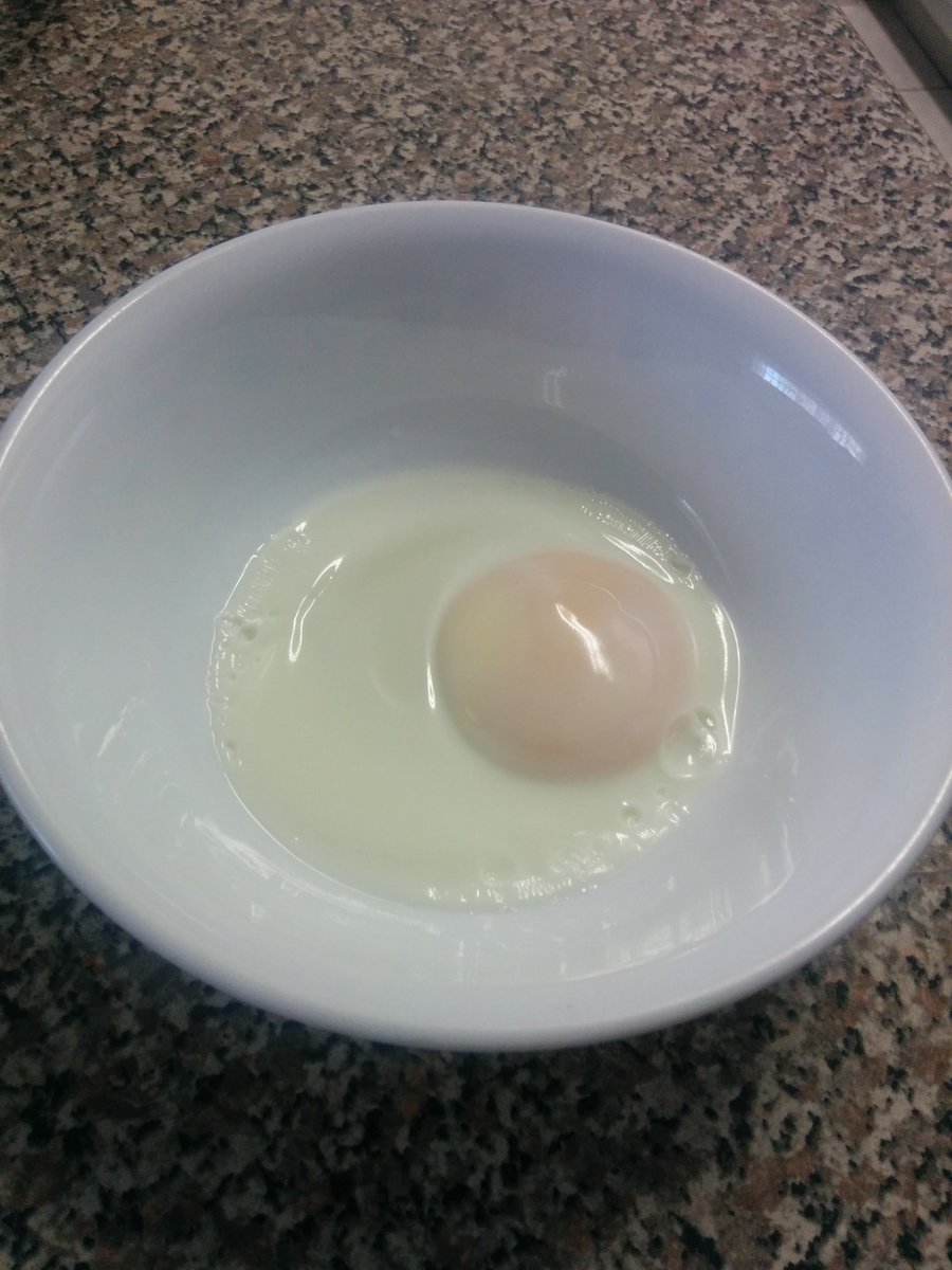 Pockicchi's tweet photo. what do u guys think of this microwaved egg? https://t.co/WjTAilRY25